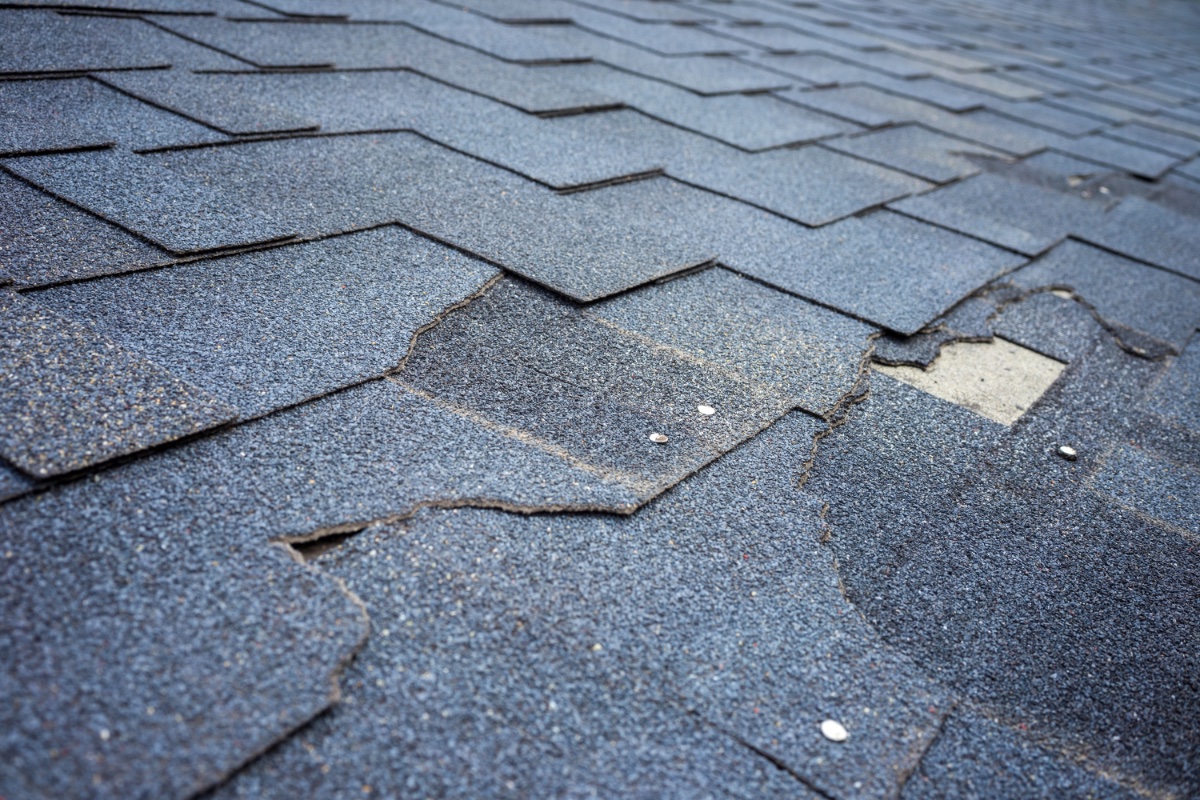 Roof Repair Service in Joplin, MO