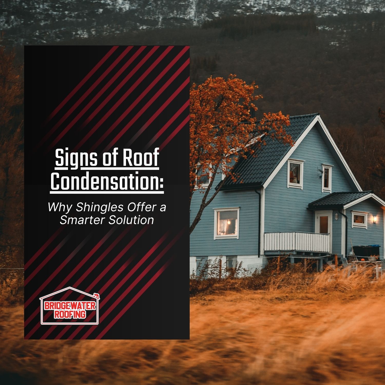 Signs of Roof Condensation: Why Shingles Offer a Smarter Solution