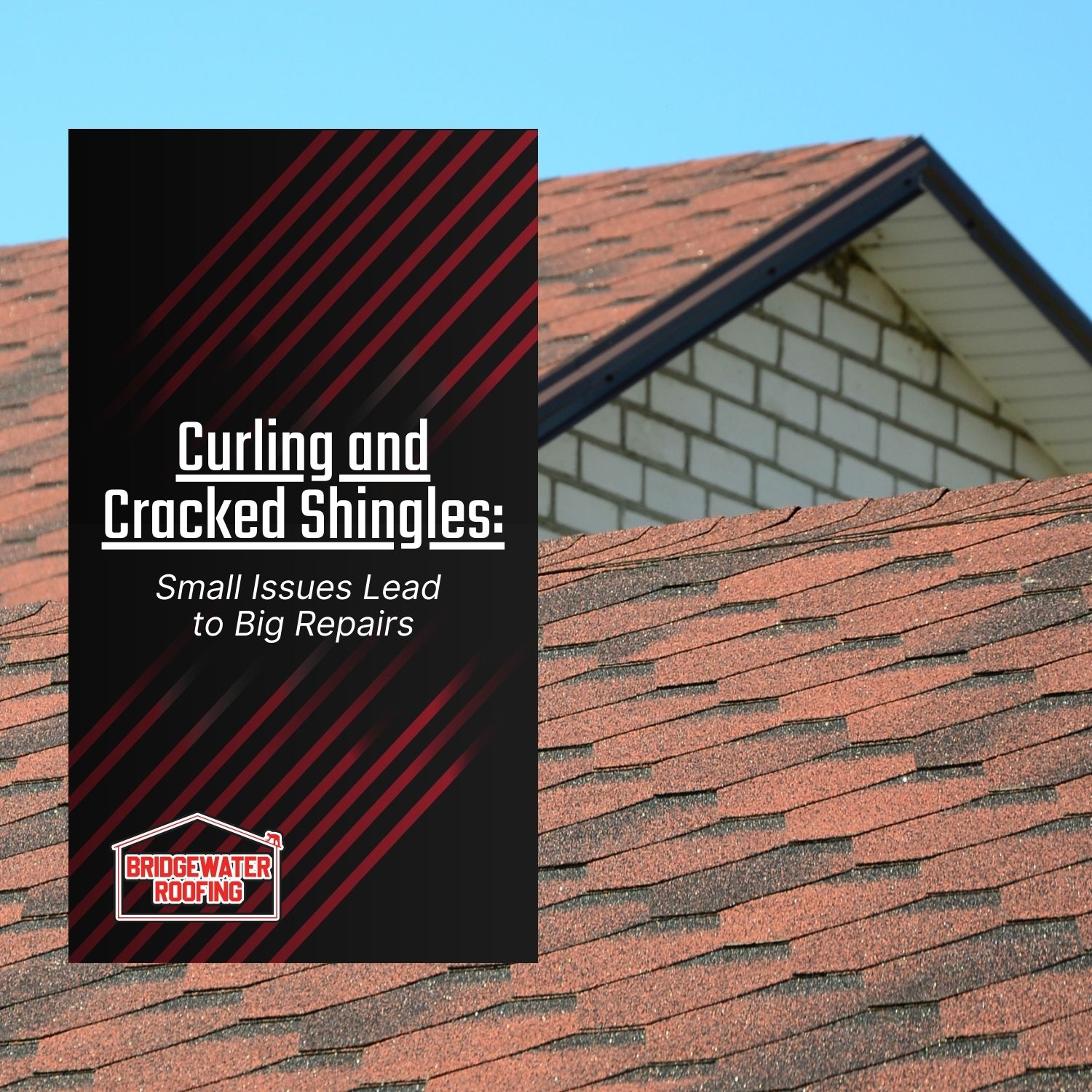 Curling and Cracked Shingles: Small Issues Lead to Big Repairs